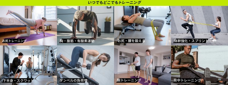 �_�C�G�b�g�O�b�Y�yVRTX�t�B�b�g�l�X�o���h�z���T�C�g